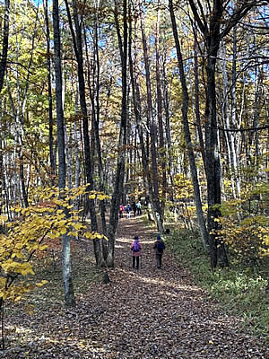 11月8日定例ウォーキング